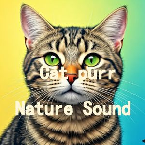 27.真实猫呼噜声+森林溪流哗哗啦啦|3分钟入睡·白噪音循环