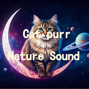 10.真实猫呼噜声+壁炉火焰阵阵鸟鸣|3分钟入睡·白噪音循环