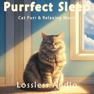 8小时 - 轻松柔软的瑜伽冥想钢琴曲融合猫咪呼噜声｜深度放松｜完美睡眠