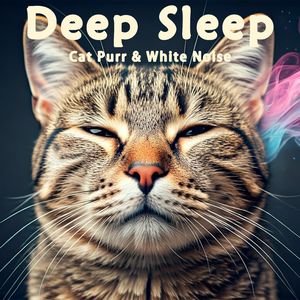 8小时- 真实猫呼噜声+乡村清晨鸽子咕咕｜3分钟入睡·白噪音循环