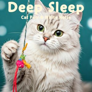 39.真实猫呼噜声+壁炉火焰温馨温暖｜3分钟入睡·白噪音循环