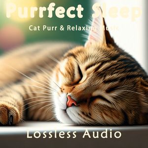 115.自然梦幻的环境脑波冥想音乐融合猫咪呼噜声｜深度放松｜完美睡眠