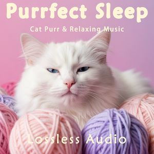 129.轻松舒缓的正念冥想钢琴曲融合猫咪呼噜声｜深度放松｜完美睡眠