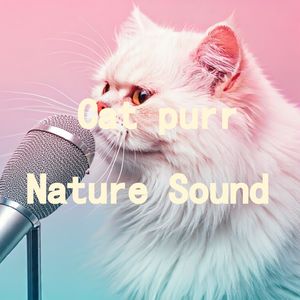 04.真实猫呼噜声+庭院雨声声声悦耳｜3分钟入睡·白噪音循环
