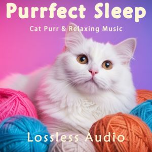 134.振奋鼓舞人心的正念冥想音乐融合猫咪呼噜声｜深度放松｜完美睡眠