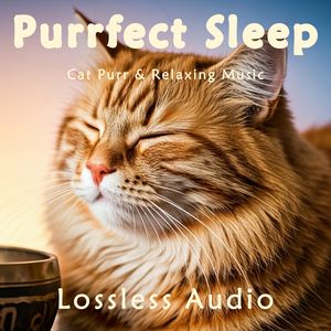 63.感性空灵｜瑜伽冥想｜猫咪呼噜｜深度放松｜完美睡眠