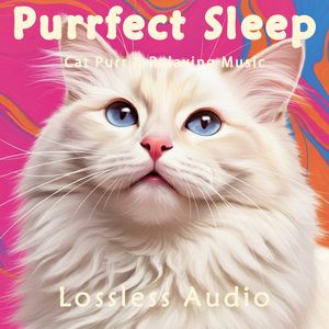 8 小时 - 夏日乡村冥想|舒缓放松双耳冥想音乐|猫咪呼噜声助眠|深度放松|完美睡眠