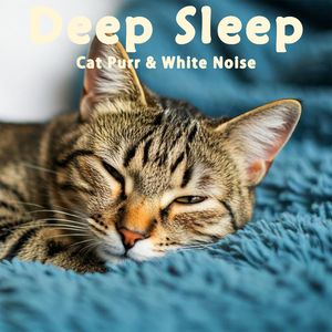 34.真实猫呼噜声+潺潺流水啾啾鸟鸣｜3分钟入睡·白噪音循环