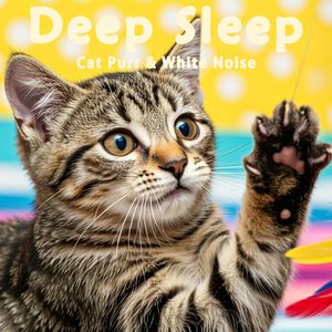 52.真实猫呼噜声+森林微风欢乐鸟鸣|3分钟入睡·白噪音循环