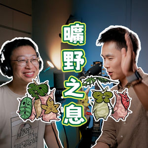 EP_020 ｜ 游戏即艺术：从《塞尔达 旷野之息》聊到游戏配乐