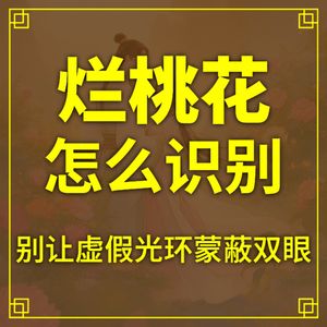 烂桃花怎么识别？别让虚假光环蒙蔽双眼！