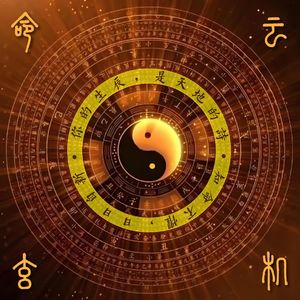 婚后遇到真爱，离还是不离？