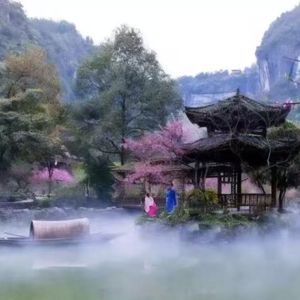 非暴力沟通：区分观察与评论