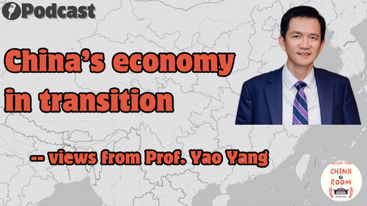 China's economy in transition: Prof. Yao Yang discusses the road ahead and policy implications