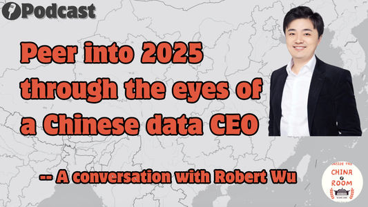 Peer into 2025 through the eyes of a Chinese data CEO: A conversation with Robert Wu