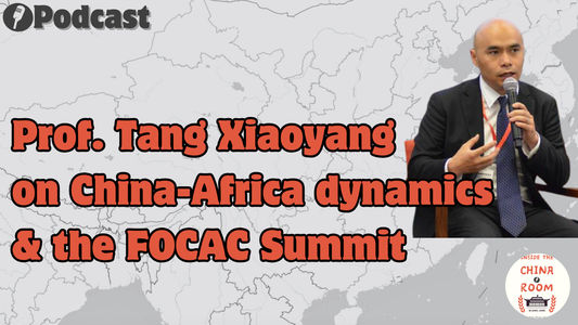 Prof. Tang Xiaoyang on China-Africa dynamics and the FOCAC Summit