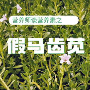 假马齿苋真的能提高孩子专注力吗?