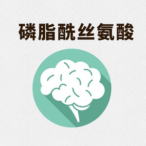磷脂酰丝氨酸:大脑发育的秘密武器