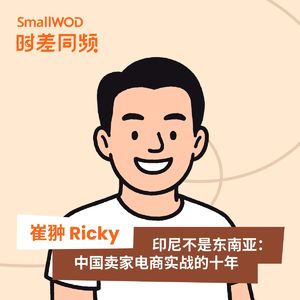 Vol. 50 小公司和夫妻作坊更容易在印尼存活？印尼本土电商实战的十年
