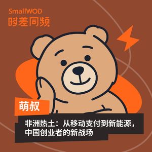 Vol. 21 非洲热土：从移动支付到新能源，中国创业者的新战场