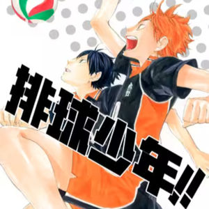 vol.046：排球少年!!：开始迷上排球你的高中生