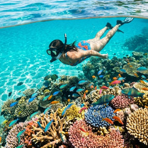6分钟入睡 | 斐济珊瑚海岸·Fiji Time 慢呼吸助眠故事
