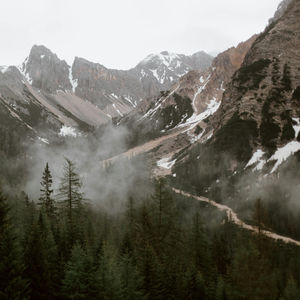 解读《思考，快与慢》：系统1和系统2如何主导你的决策与偏见.m4a