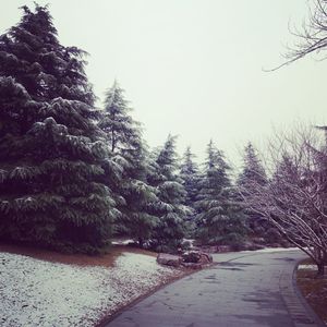 琴韵春秋013：阳春白雪 | 谁说高雅的就一定难懂？