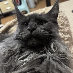 大部分烂剧都可以用 “onlyfans” 概括