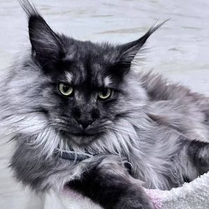 关于“阿里巴巴”，有哪些是你不知道的？（精彩网文合集）