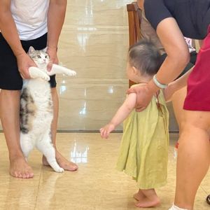 八字看子息口诀大全