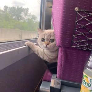 “看日子”口诀大全