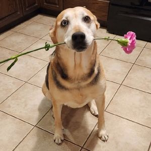 八字看婚姻口诀大全