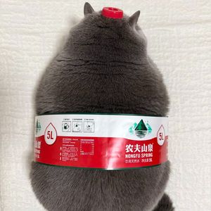 速读： 左灯《我在精神病院抗抑郁 》
