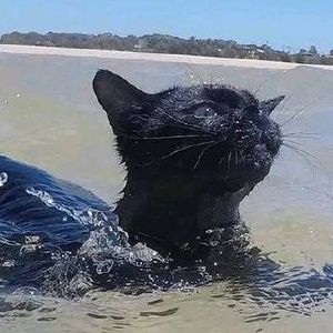 好学生心态受害者｜我放松父母就焦虑，我焦虑父母就放松