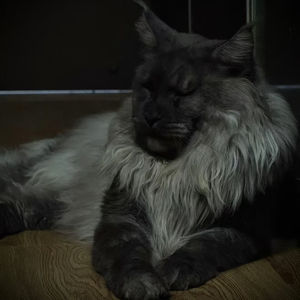 中国探索大龄孤独症群体就业路径