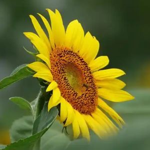 电子榨菜腌缸第4缸：大年初二四道“财”，捡柴观影聊AI