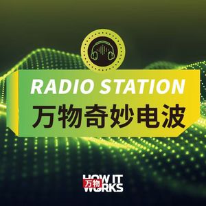 EP114. 颠覆小蝌蚪找妈妈，蟾蜍直接生子