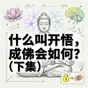 开悟的本质 | 科学改写意识参数的三个底层逻辑 | 王利杰系列