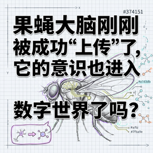 果蝇大脑被成功上传 | 意识进入数字世界了吗 | 科技前沿深度拆解