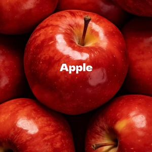 vol.12 24岁的俩人最近看了什么书电影和歌