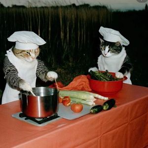 vol.04 10问五年后的自己