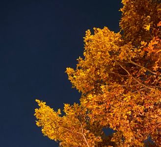 vol.8 四个研三人眼中彼此的职业形象 如果是这样我愿意