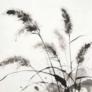 狗尾草：平凡中自有坚强