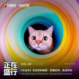 Vol.02 《大空头》没说完的秘密：把握反转，吃点好的