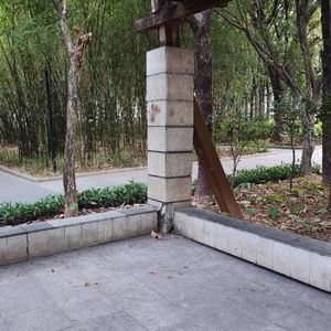 【心理咨询】第211位《自理，自立，自主，自强》
