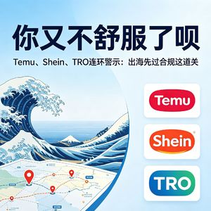 出海"不舒服文学"大赏：Temu被罚、Shein被查、TRO冻结，该怪谁？