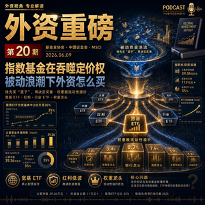 外资重磅第20期|指数基金正在吞噬 A 股定价权:被动化浪潮下外资怎么买