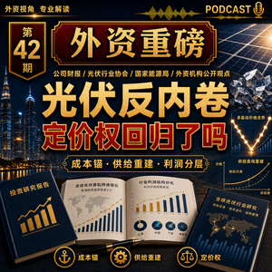 外资重磅第42期｜光伏反内卷：外资在重新定价活下来的产能