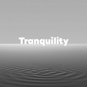 Tranquility 10 | 偏见与道德:探寻一切,轻松快乐的活着